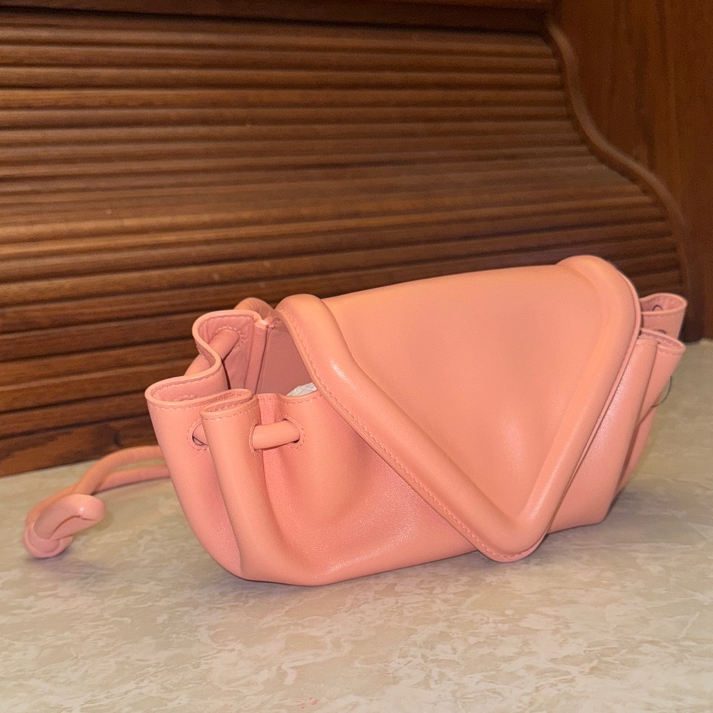 Bottega Veneta Coral Mini Bag